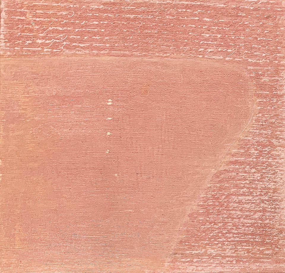 Kiyomi Talaulicar: What Must Endure